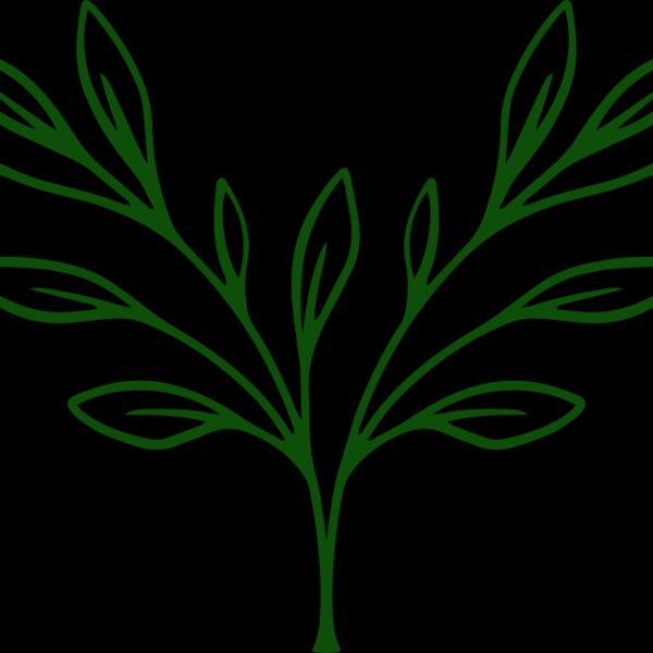 Plants 3 Thumbnail